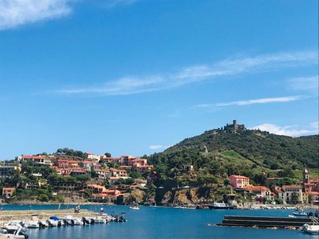 Villa Confort Et Cosy 20 Minutes D'Espagne Plage d'Argeles Luaran gambar