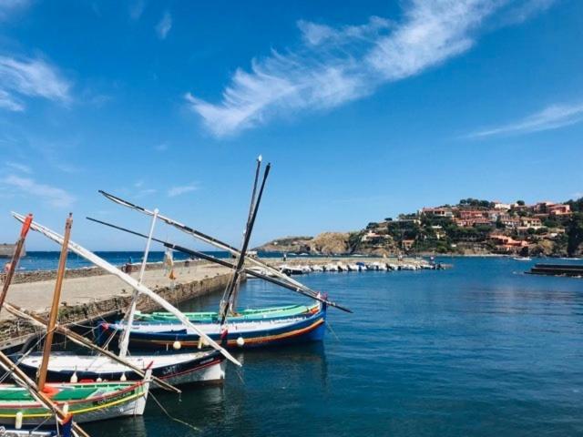 Villa Confort Et Cosy 20 Minutes D'Espagne Plage d'Argeles Luaran gambar