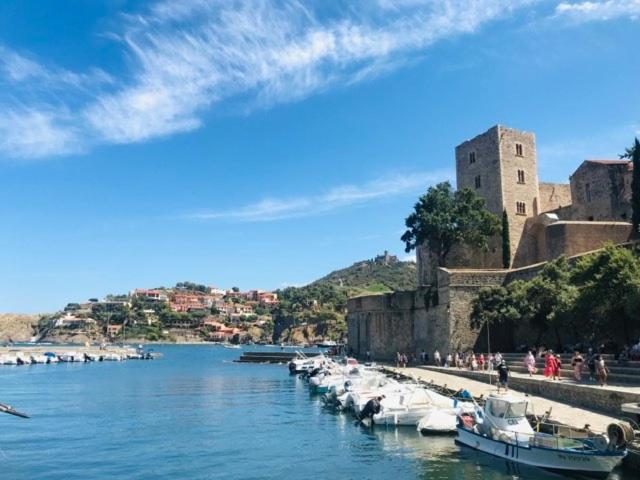 Villa Confort Et Cosy 20 Minutes D'Espagne Plage d'Argeles Luaran gambar